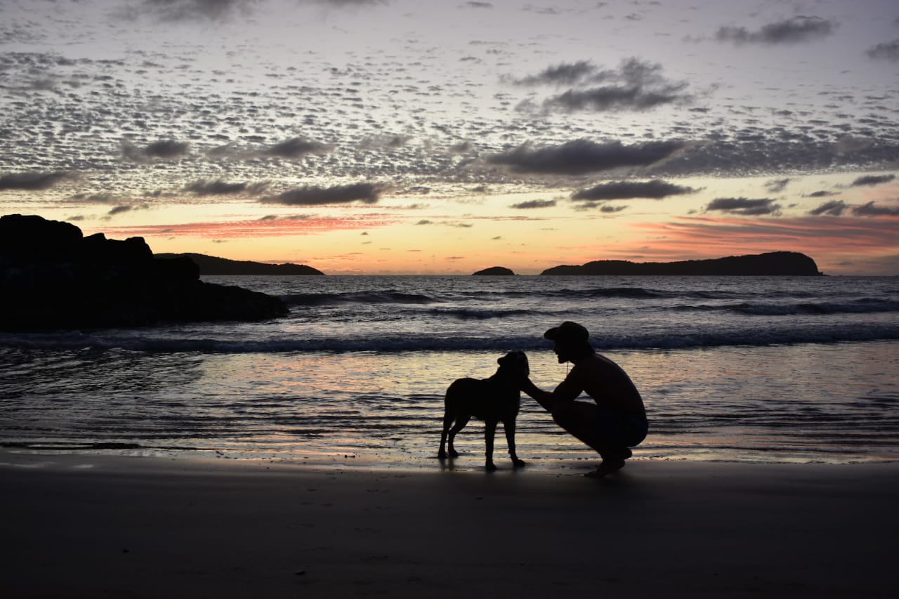 WhatsApp Image 2022-05-24 at 3.17.42 PM